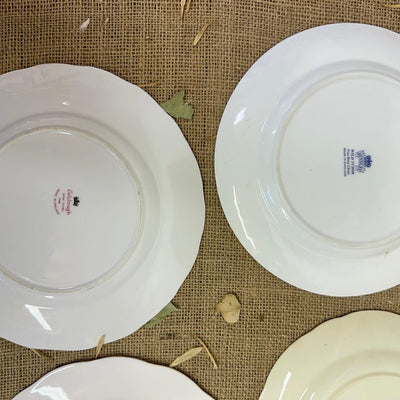Beautiful collection of pretty antique plates perfect for handing on you're wall to create a statement piece of decor