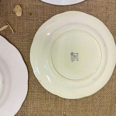 Beautiful collection of pretty antique plates perfect for handing on you're wall to create a statement piece of decor